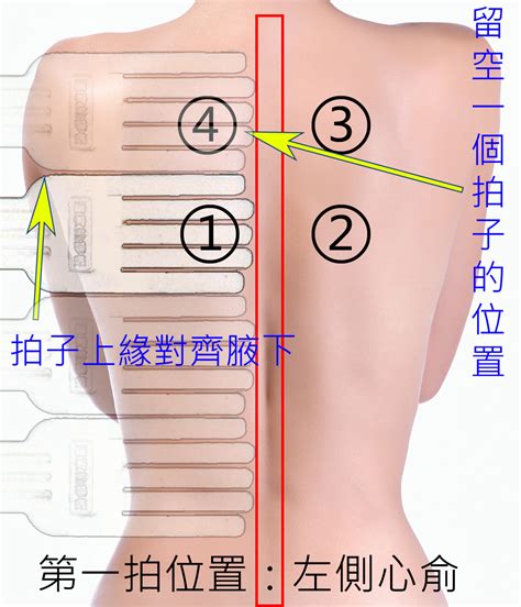 後背位